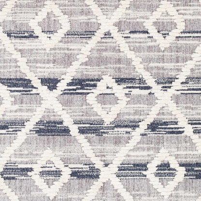 Azilal AZI-2301 Machine Woven Rug