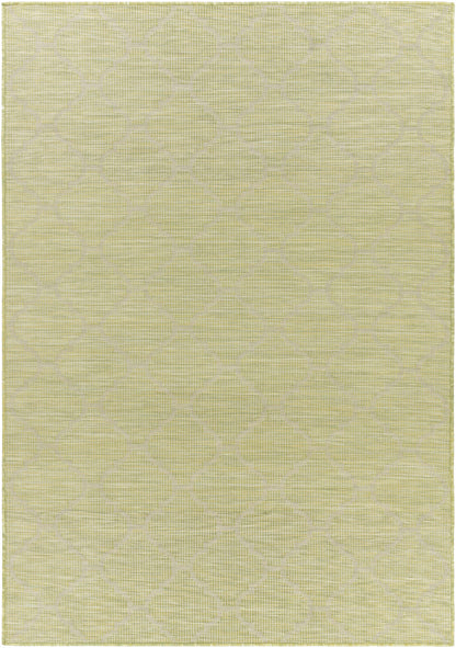 Pasadena PSA-2337 Machine Woven Rug