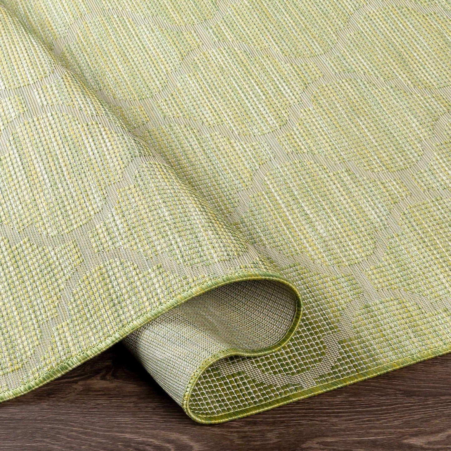 Pasadena PSA-2337 Machine Woven Rug