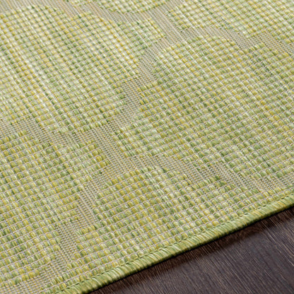 Pasadena PSA-2337 Machine Woven Rug