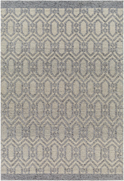 Napoli NPO-2317 Hand Woven Rug