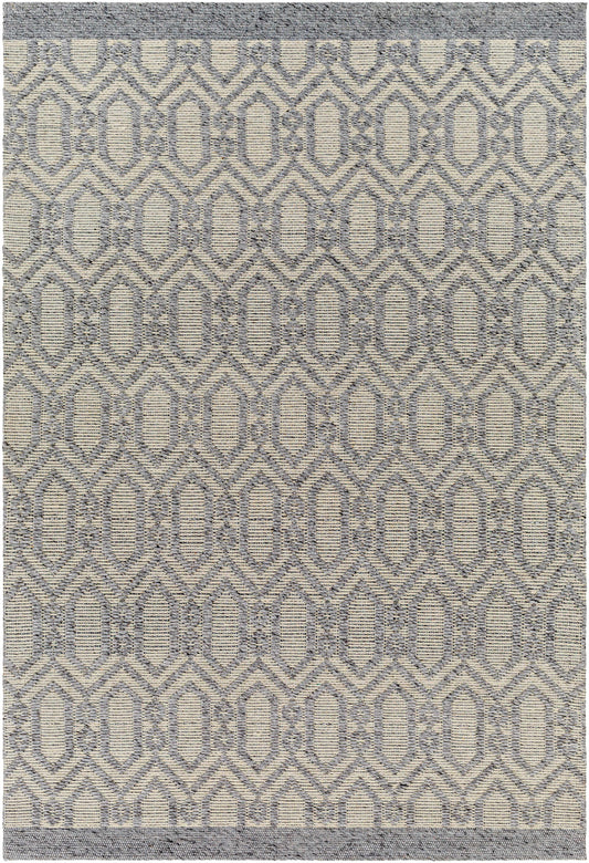 Napoli NPO-2317 Hand Woven Rug