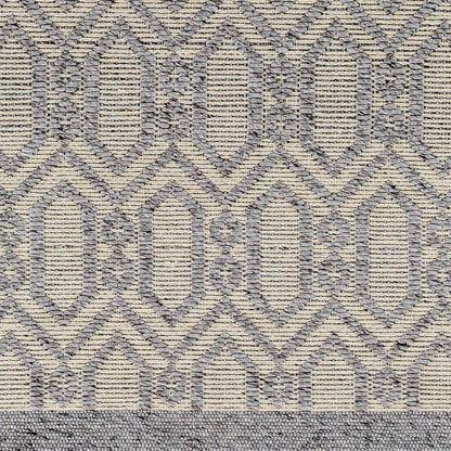 Napoli NPO-2317 Hand Woven Rug