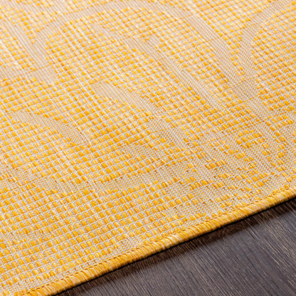 Pasadena PSA-2329 Machine Woven Rug