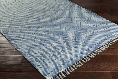Chaska CSK-1301 Hand Woven Rug