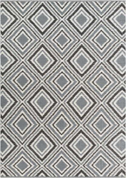 Juniper JNP-5008 Hand Woven Rug