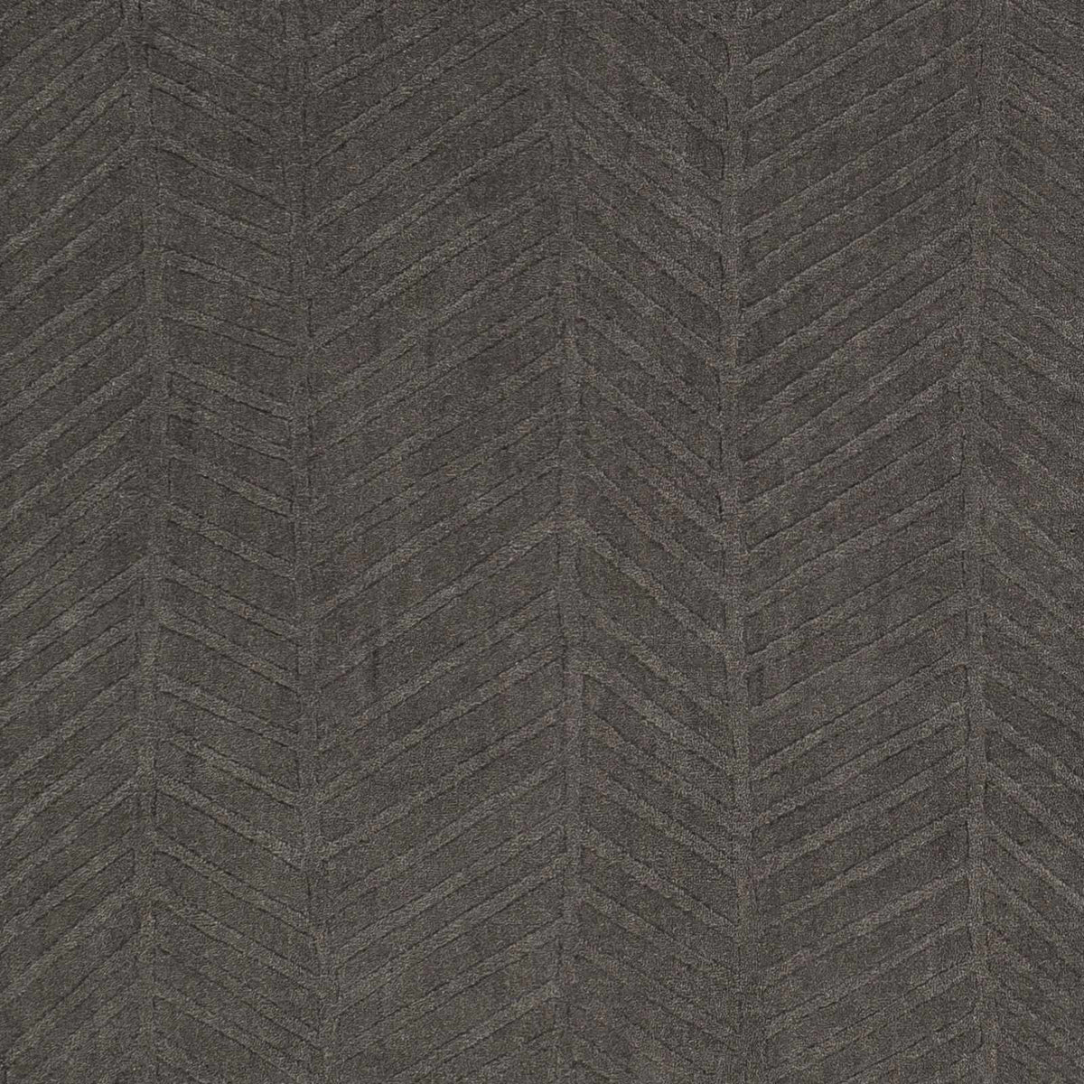 Taraash TRH-2304 Hand Loomed Rug
