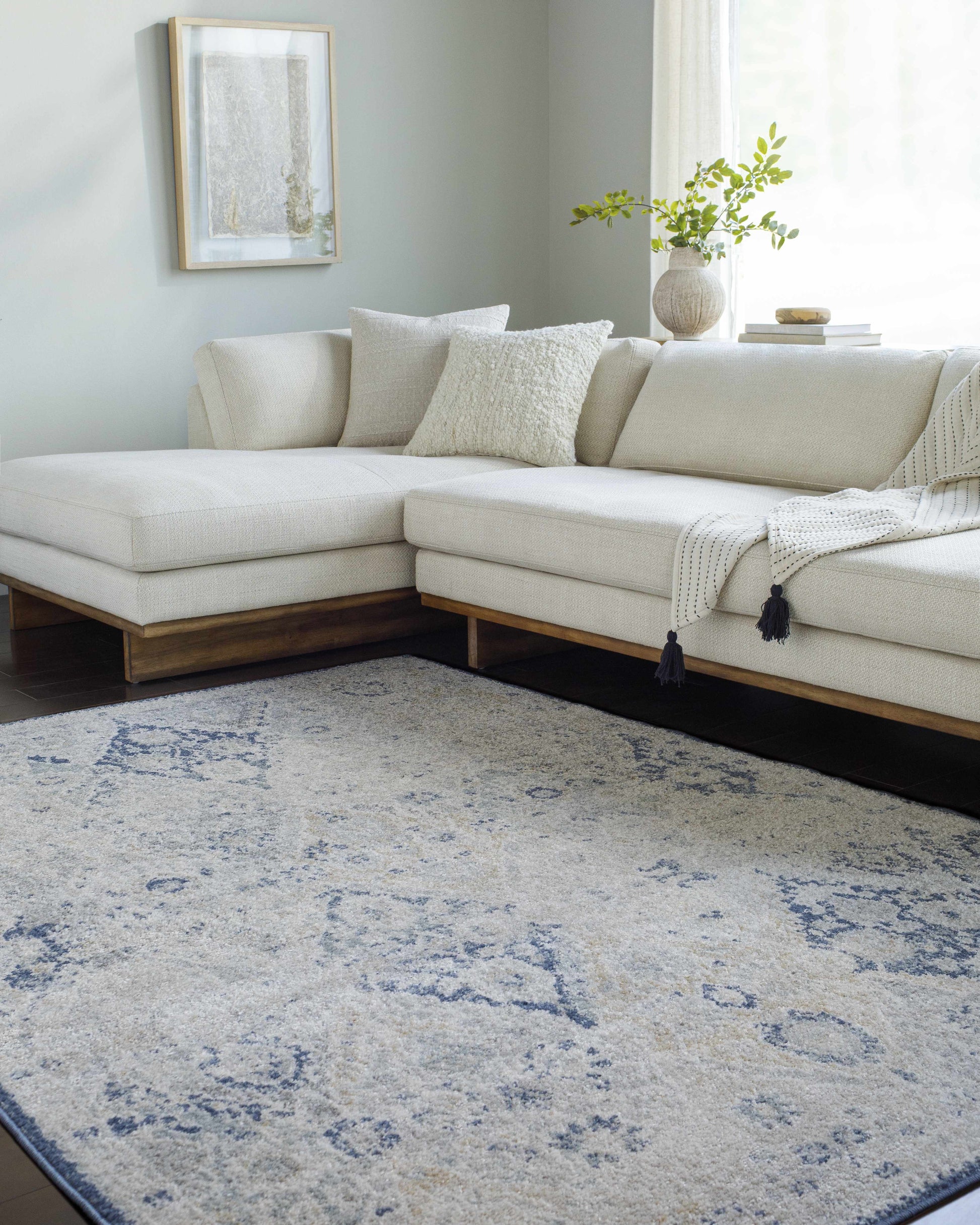 Harput HAP-1169 Machine Woven Rug