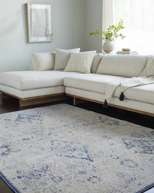 Harput HAP-1169 Machine Woven Rug