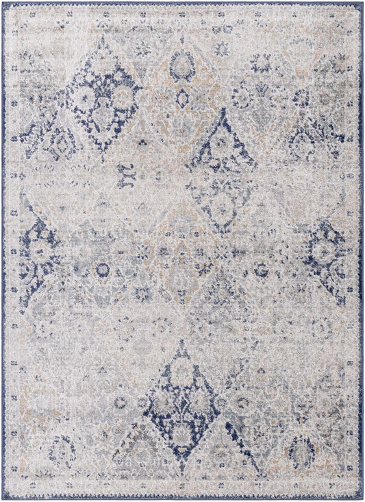 Harput HAP-1169 Machine Woven Rug