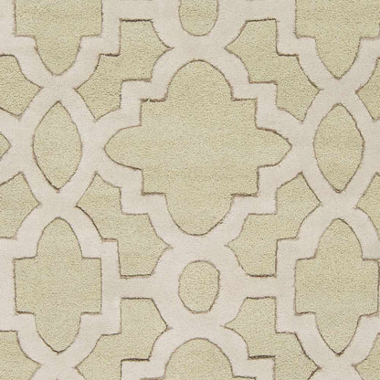 Modern Classics CAN-2038 Hand Tufted Rug