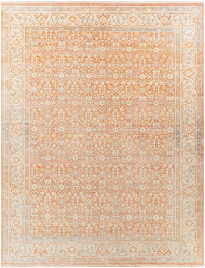 Hamadan HAM-2301 Hand Knotted Rug
