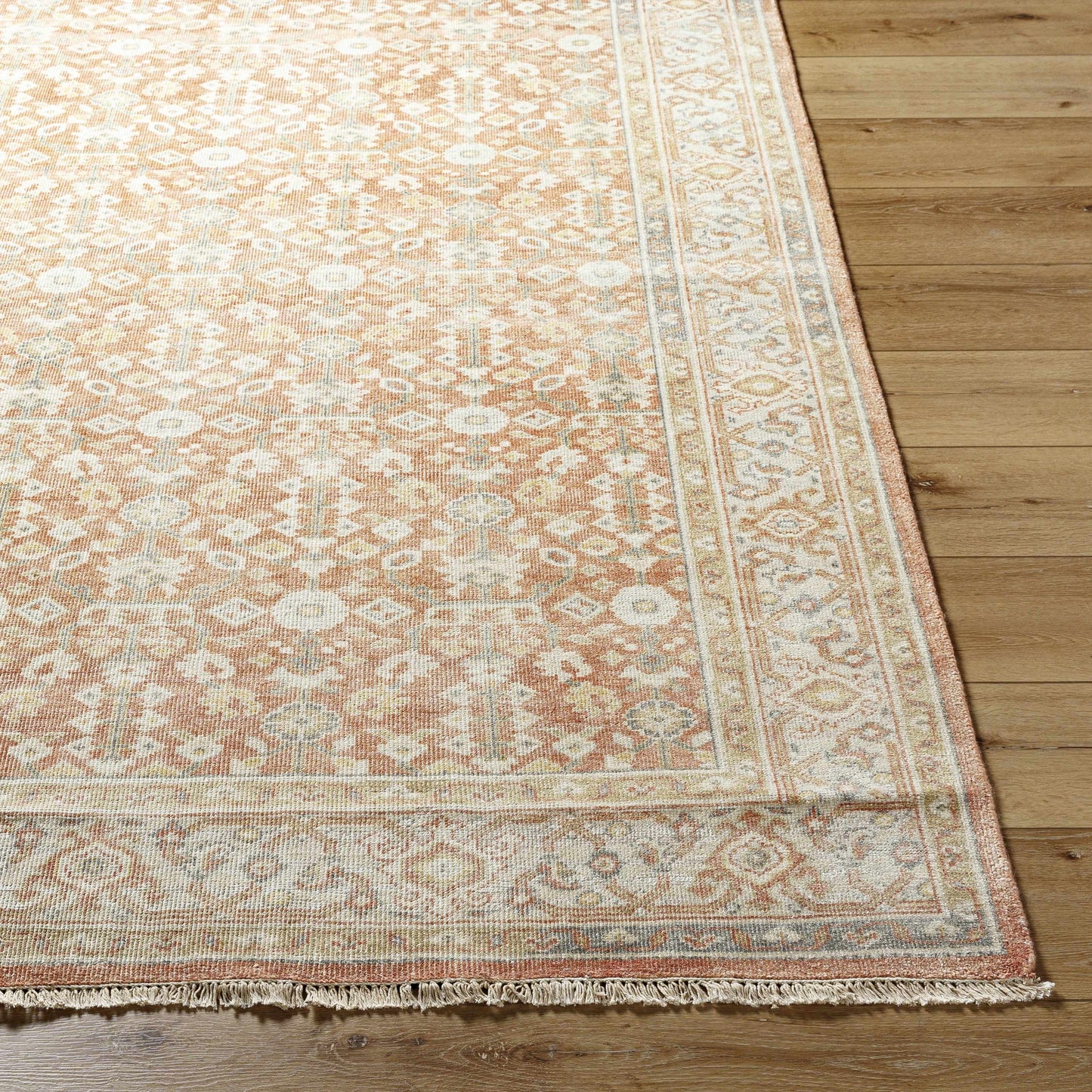 Hamadan HAM-2301 Hand Knotted Rug