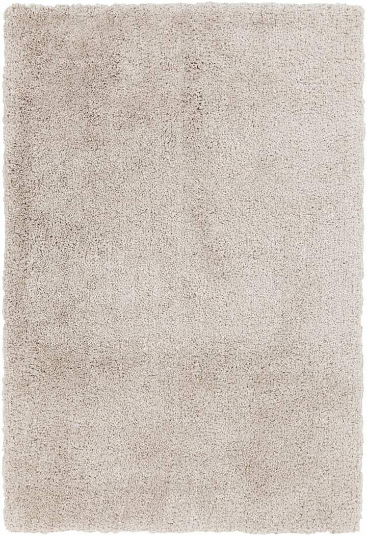 Light Beige Hand Woven 100% Polyester Modern Rectangle Handmade rug, Indoor use only, no fringe, non-washable. round, runner also available
