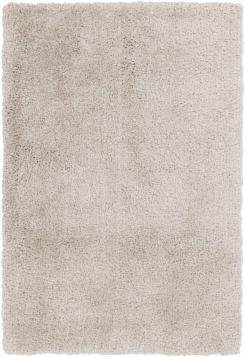Light Beige Hand Woven 100% Polyester Modern Rectangle Handmade rug, Indoor use only, no fringe, non-washable. round, runner also available
