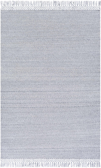 Light Gray Hand Woven 100% Recycled PET Yarn Modern Rectangle Handmade rug, Indoor use only, has fringe, non-washable. runner also available