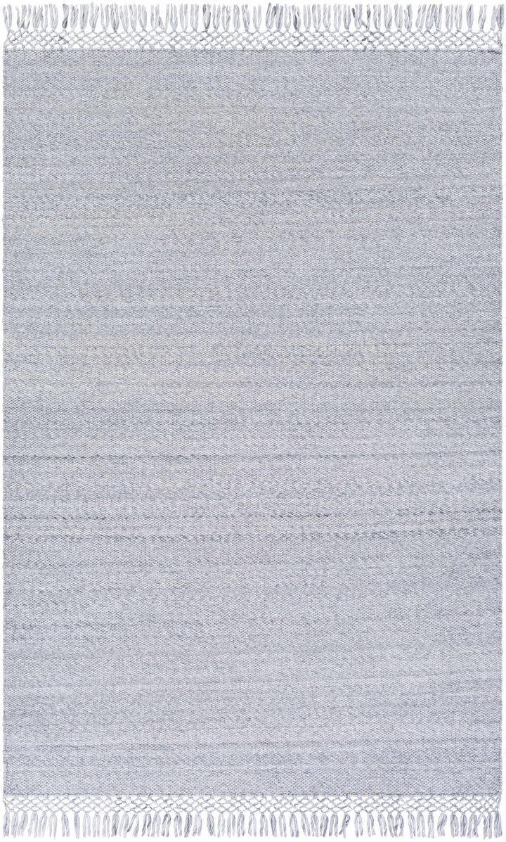 Light Gray Hand Woven 100% Recycled PET Yarn Modern Rectangle Handmade rug, Indoor use only, has fringe, non-washable. runner also available