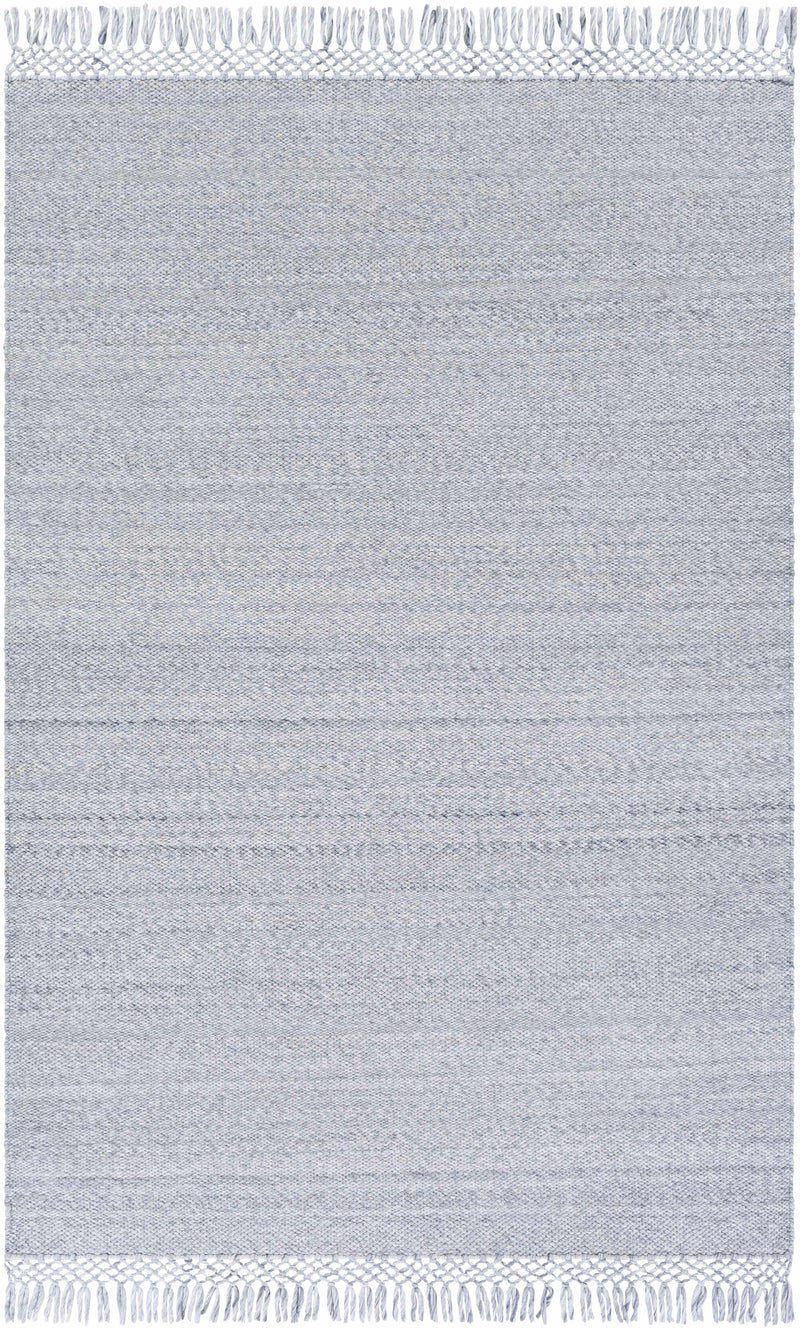 Light Gray Hand Woven 100% Recycled PET Yarn Modern Rectangle Handmade rug, Indoor use only, has fringe, non-washable. runner also available