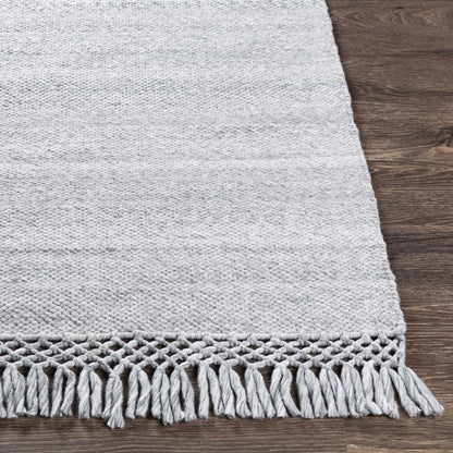 Azalea AZA-2308 Hand Woven Rug