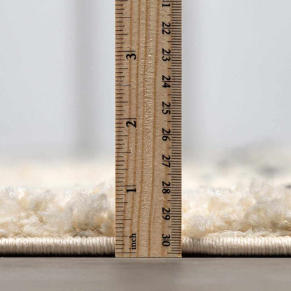 Berber Shag BBE-2300 Machine Woven Rug