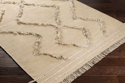 Palo Alto PLA-2302 Hand Woven Rug