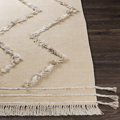 Palo Alto PLA-2302 Hand Woven Rug