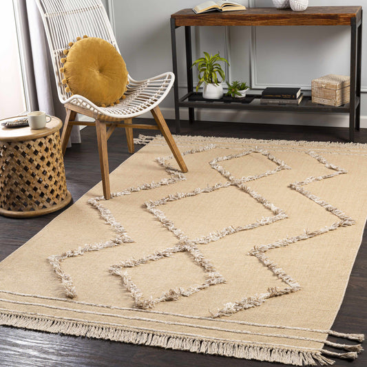 Palo Alto PLA-2302 Hand Woven Rug