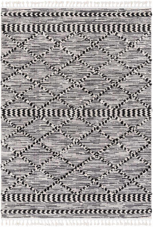Azilal AZI-2311 Machine Woven Rug