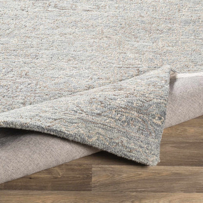 Newcastle NCS-2310 Hand Tufted Rug