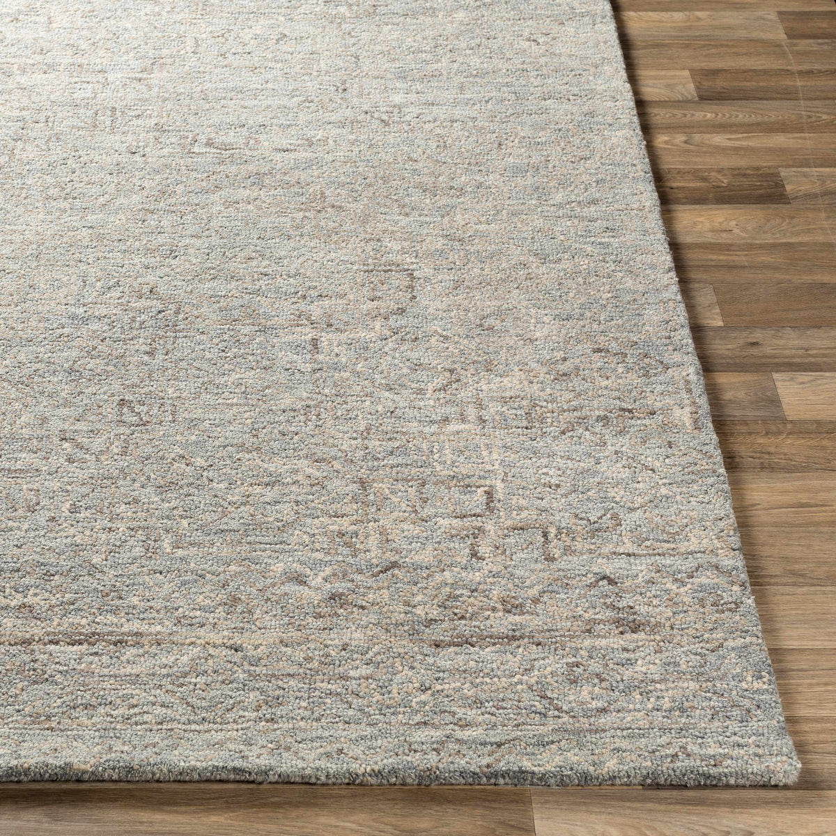 Rugs : NCS-2310
