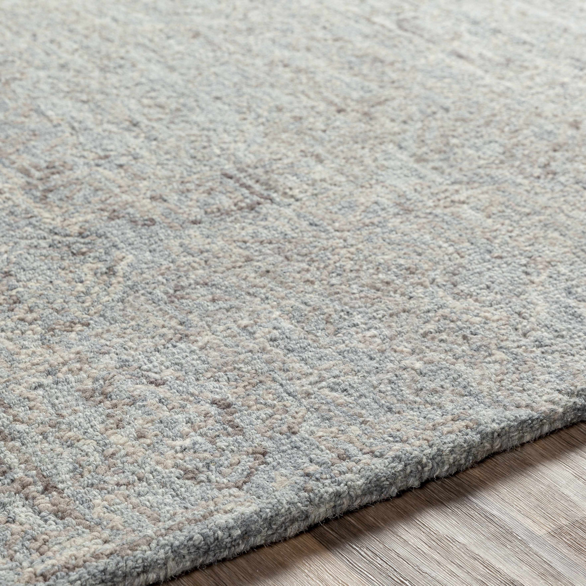 Rugs : NCS-2310