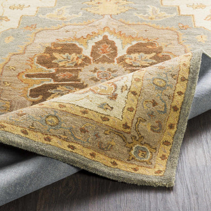 Middleton AWHR-2055 Hand Tufted Rug