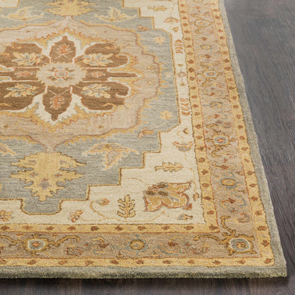 Middleton AWHR-2055 Hand Tufted Rug