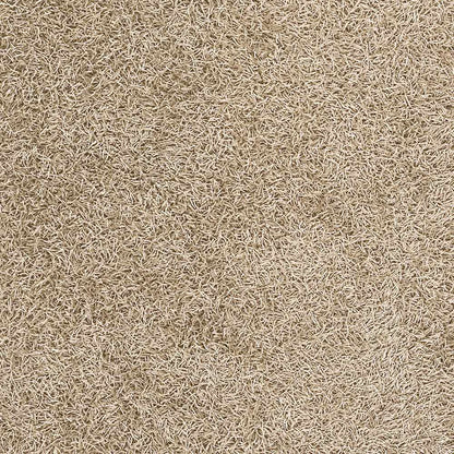 Vivid VIV-800 Hand Woven Rug