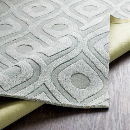 Central Park AWHP-4000 Hand Loomed Rug