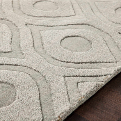 Central Park AWHP-4000 Hand Loomed Rug