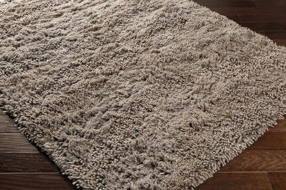 Berkley BRK-3304 Hand Woven Rug