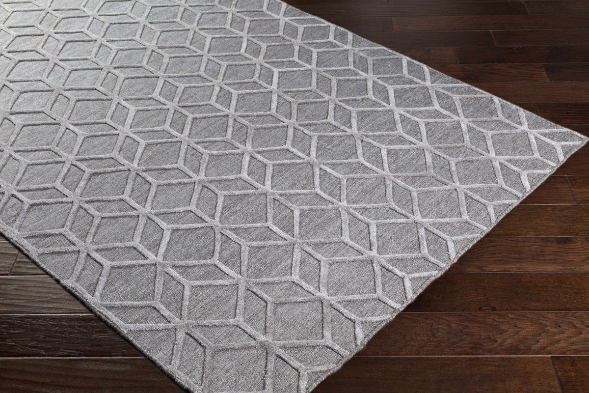 Arete AET-1003 Hand Loomed Rug