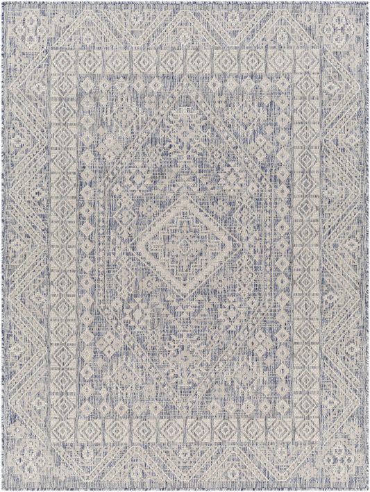 Tuareg TRG-2342 Machine Woven Rug