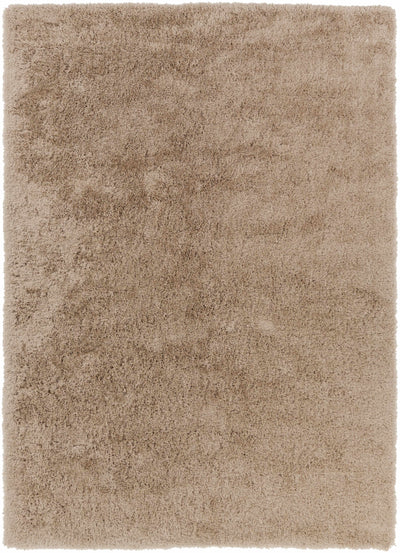Beige Hand Woven 100% Polyester Modern Rectangle Handmade rug, Indoor use only, no fringe, non-washable.