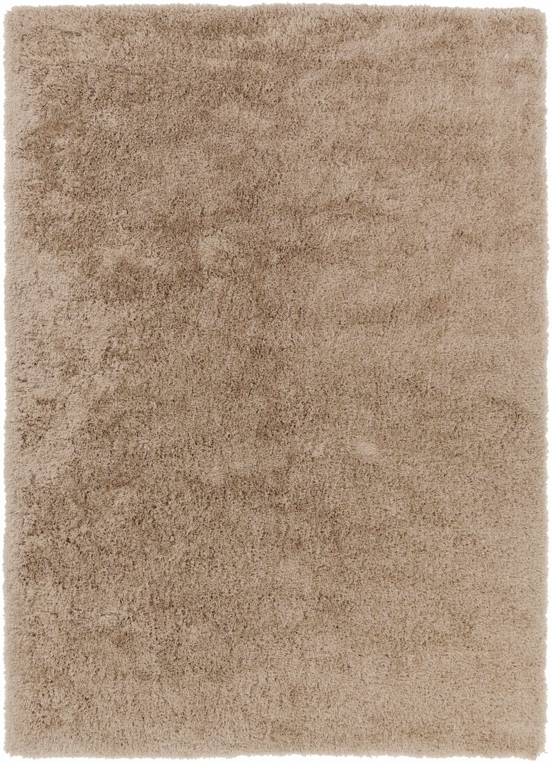 Beige Hand Woven 100% Polyester Modern Rectangle Handmade rug, Indoor use only, no fringe, non-washable.