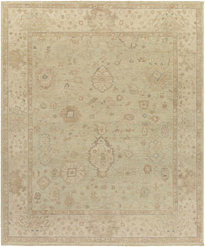 Taupe Hand Knotted 100% Wool Traditional Rectangle Handmade rug, Indoor use only, has fringe, non-washable.