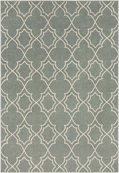Alfresco ALF-9589 Machine Woven Rug