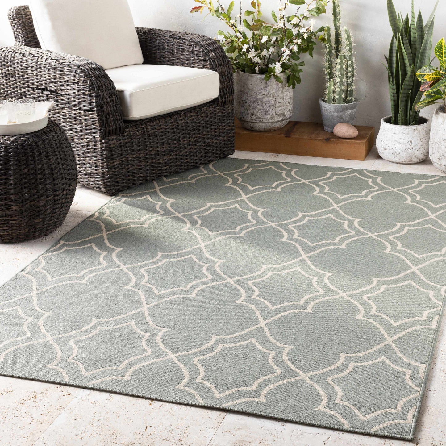 Alfresco ALF-9589 Machine Woven Rug