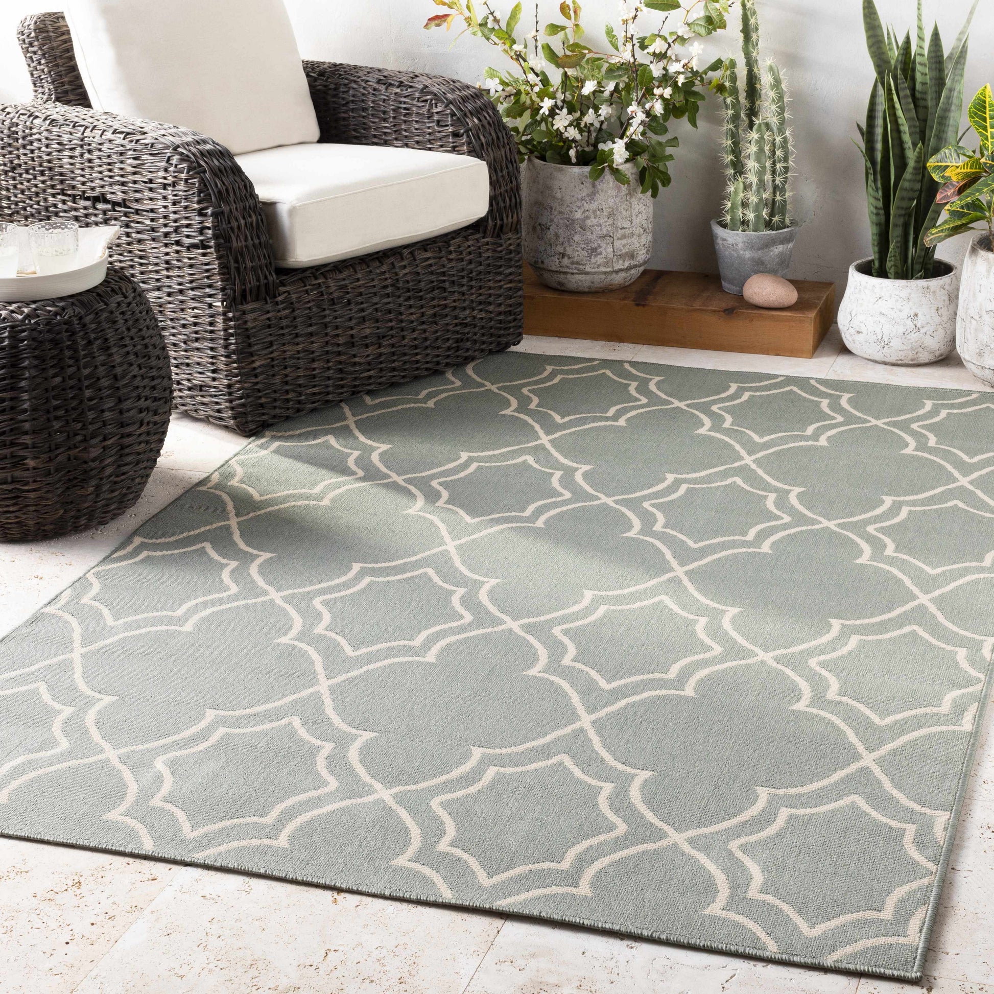 Alfresco ALF-9589 Machine Woven Rug