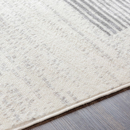 Pisa PSS-2319 Machine Woven Rug
