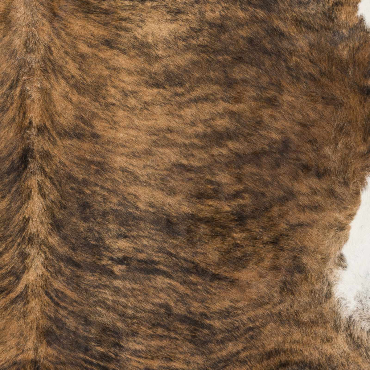 Duke DUK-1000 Hand Crafted Rug
