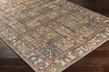 Amelie AML-2342 Machine Woven Rug