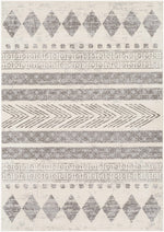 Pisa PSS-2306 Machine Woven Rug