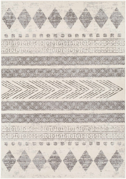 Pisa PSS-2306 Machine Woven Rug